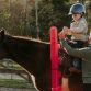 Les thérapies impliquant le cheval