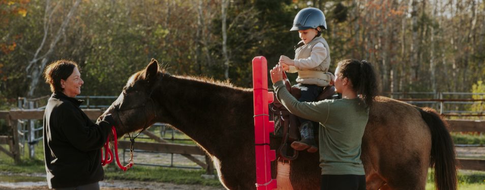 Les thérapies impliquant le cheval